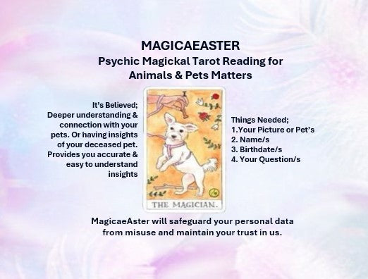 Psychic Magickal Tarot Reading for Animals and Pets Matters