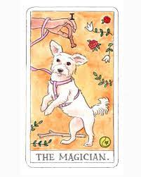 Psychic Magickal Tarot Reading for Animals and Pets Matters